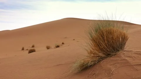 View of Sahara Desert sand dunes in Morocco. Stock-Footage 343682380