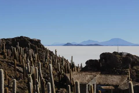 View of the Salar De Uyuni from  the Incahuasi Island Stock Photos