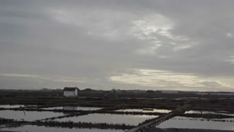 View to the Salinas de Aveiro Stock Footage 237891563