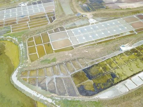 A view on the salt marsh Stock Photos