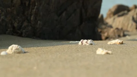 View of sand beach, view of ocean Vídeos de archivo 310919676