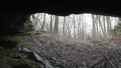 View from Sand Cave at Mammoth Cave National Park (where Floyd Collins Died) Stock Footage 61511141