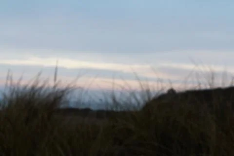 View from the sand dunes at first light Out of focus. Stock Photos