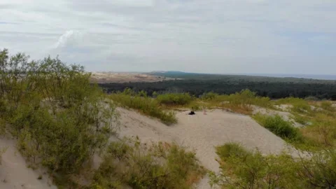 A view of the sand dunes with grass and a forest at Nida, Lithuania, on the Curo Stock Footage 321750565