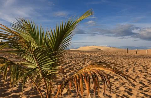 View of the sand dunes Foto stock