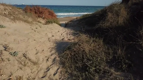 View of the sandy beach from the air. Spain, Valencia , playa el saler Stock Footage 82034989