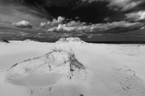View of a sandy beach. Stock Photos