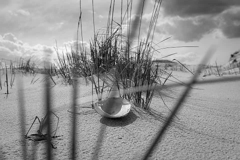 View of a sandy beach. Stock Photos
