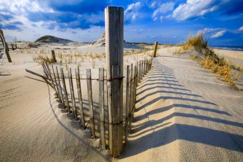 View of a sandy beach. Stock Photos