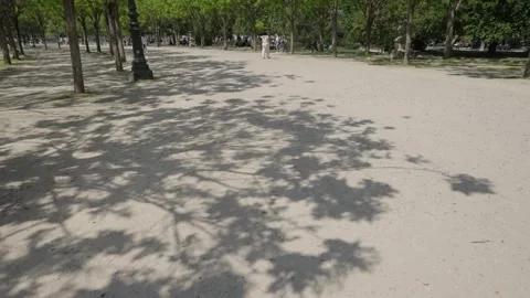 View of sandy ground with tree shadow in France. Stock Footage 343880225