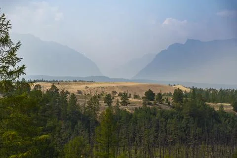 View of a sandy plateau surrounded by forest and mountains Stock Photos