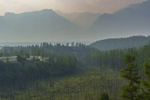 View of a sandy plateau surrounded by forest and mountains Foto stock