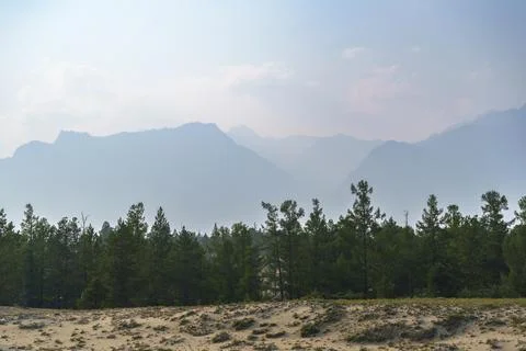 View of a sandy plateau surrounded by forest and mountains Stock Photos