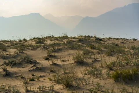 View of a sandy plateau surrounded by forest and mountains Stock Photos