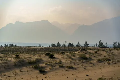 View of a sandy plateau surrounded by forest and mountains Stock Photos