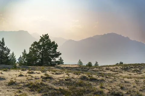View of a sandy plateau surrounded by forest and mountains Stock Photos
