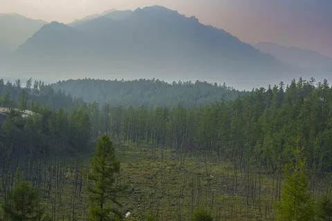 View of a sandy plateau surrounded by forest and mountains Stock Photos