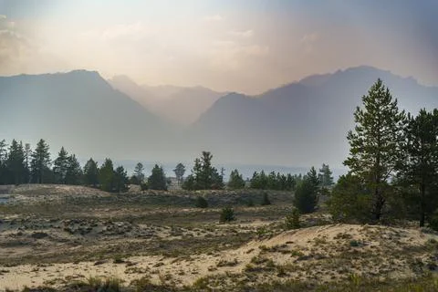 View of a sandy plateau surrounded by forest and mountains Stock Photos