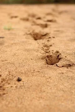 View of sandy River Background with copy space and visible sand texture with  Stock Photos