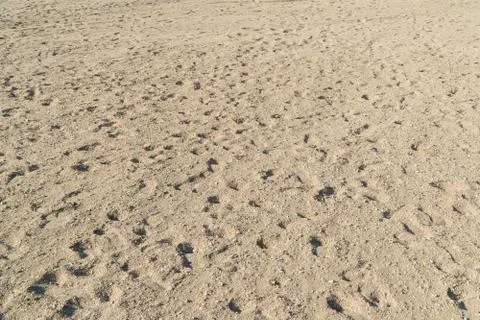 View of sandy riverside Foto stock