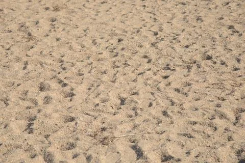 View of sandy riverside Foto stock