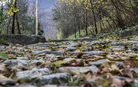 View of Sant'Ambrogio Stock Photos