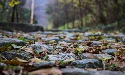 View of Sant'Ambrogio Stock Photos