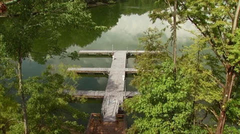 View of Santee river and forest Stock-Footage 54593426