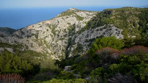 View of the Sardinian Mediterranean scrub Stock Footage 97983354