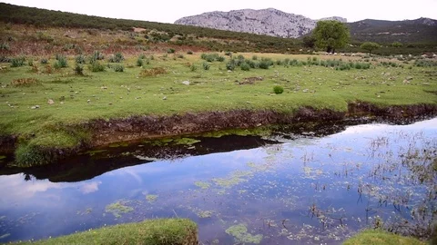 View of the Sardinian Mediterranean scrub Stock Footage 97985398