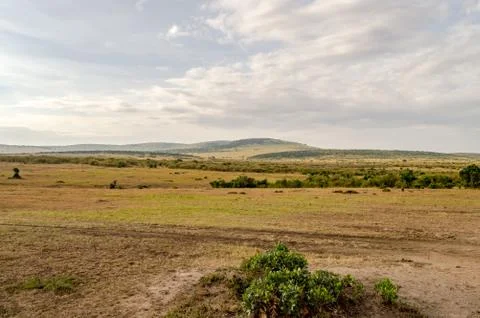 View of the savannah Stock Photos