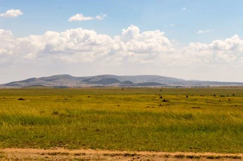 View of the savannah Stock Photos
