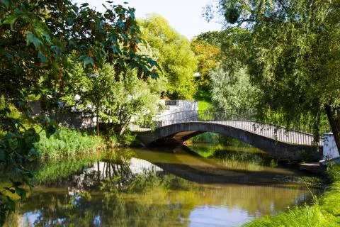 View of the scene of a small bridge over a forest river Stock Photos