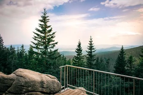 A view of the scenic forest Foto stock