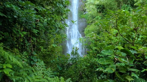 A view of scenic waterfall surrounded by rainforest. Wailua Falls waterfall Vídeo Stock 275003845