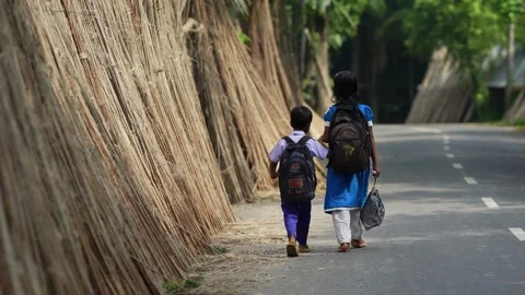 View of school children walking past dried jute stalks, Bangladesh. 스톡 동영상 335585345