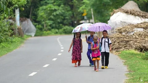 View of school children walking with umbrellas on a road, Bangladesh. Stock Footage 335585323