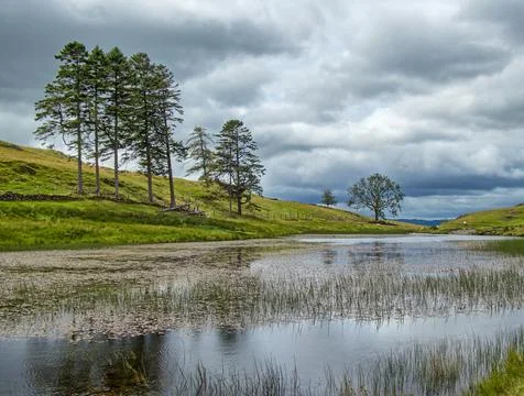 A view of School Knot Tarn: a small body of water in the English Lake District Stock Photos