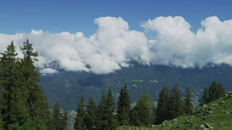 View from the Schynige Platte Stock Footage 219046995