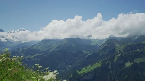 View from Schynige Platte Stock Footage 219714139