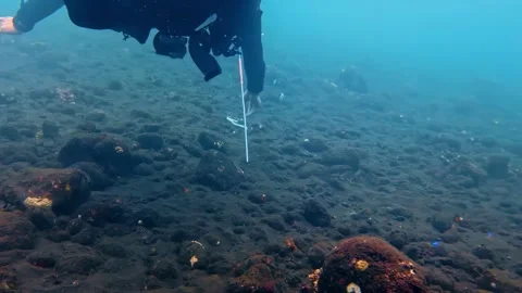View of scuba diver exploring the rocky seabed, Indonesia. Video stock 340638071