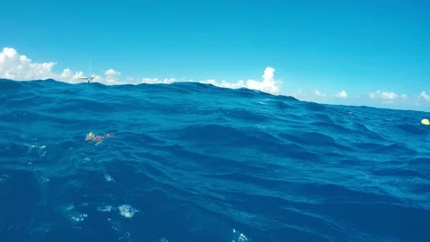 A view from a scuba diver on the surface of the ocean. Stock Footage 104113631