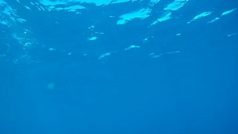 A view from a scuba diver of surfacing from under the water. Видео 104113747