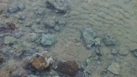 View of the sea from above Stock Footage 85814031