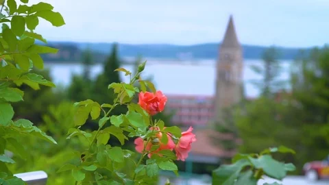 View of the sea and belfry   Stock Footage 111023316