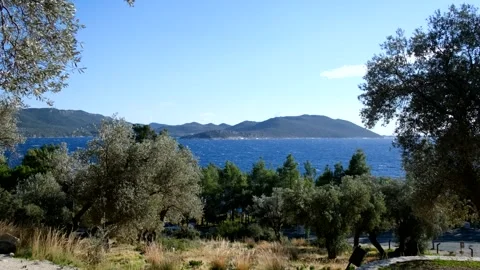 View of the sea and mountains from the forest 動画素材 243327942