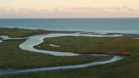 View of The Sea And The River, a Bear Is Walking Along The River Stock Footage 172445342
