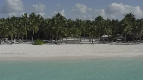View from the sea to the beach with palm trees Stock Footage 140825964