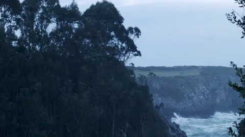View of the sea between trees on a cliff top Video stock 170013586