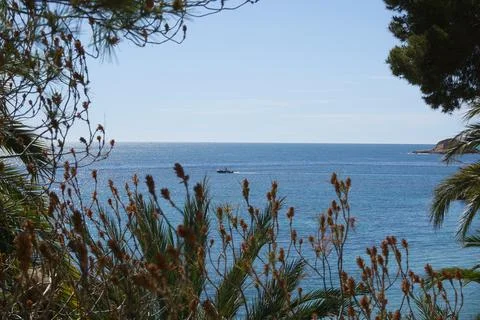 View of the sea between vegetation, located in Alicante, Spain Stock Photos
